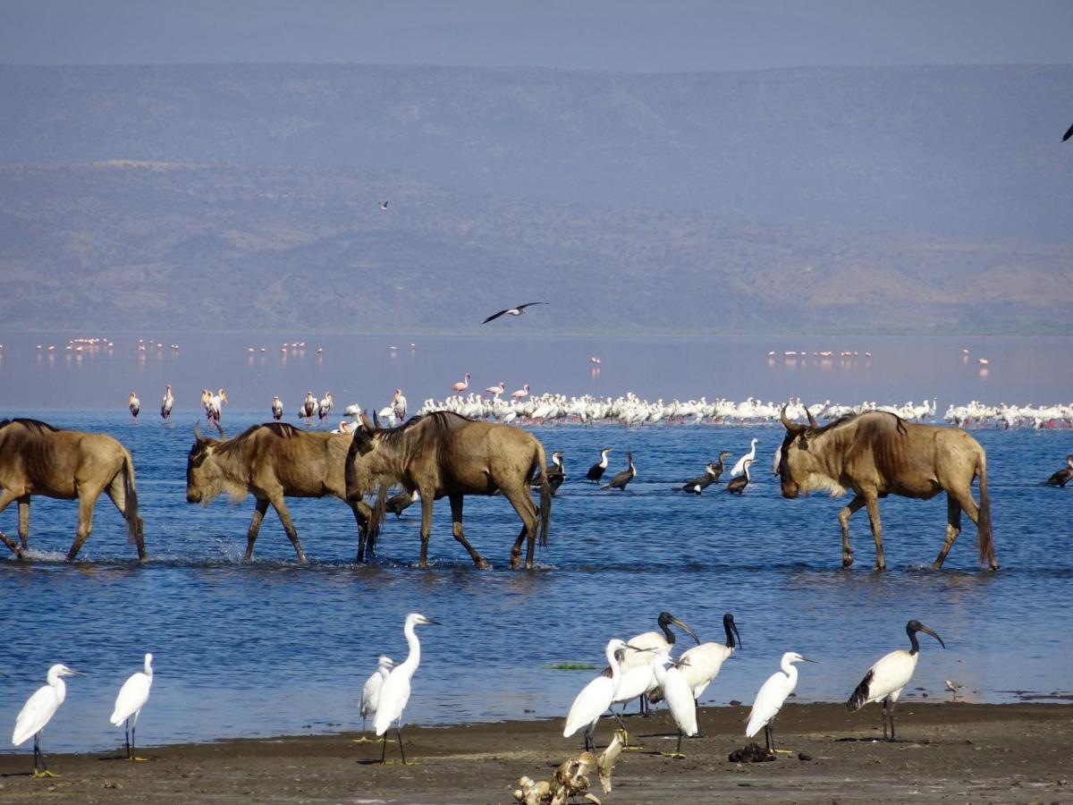 Africa Safari Lake Natron Mtowabaga Exterior foto