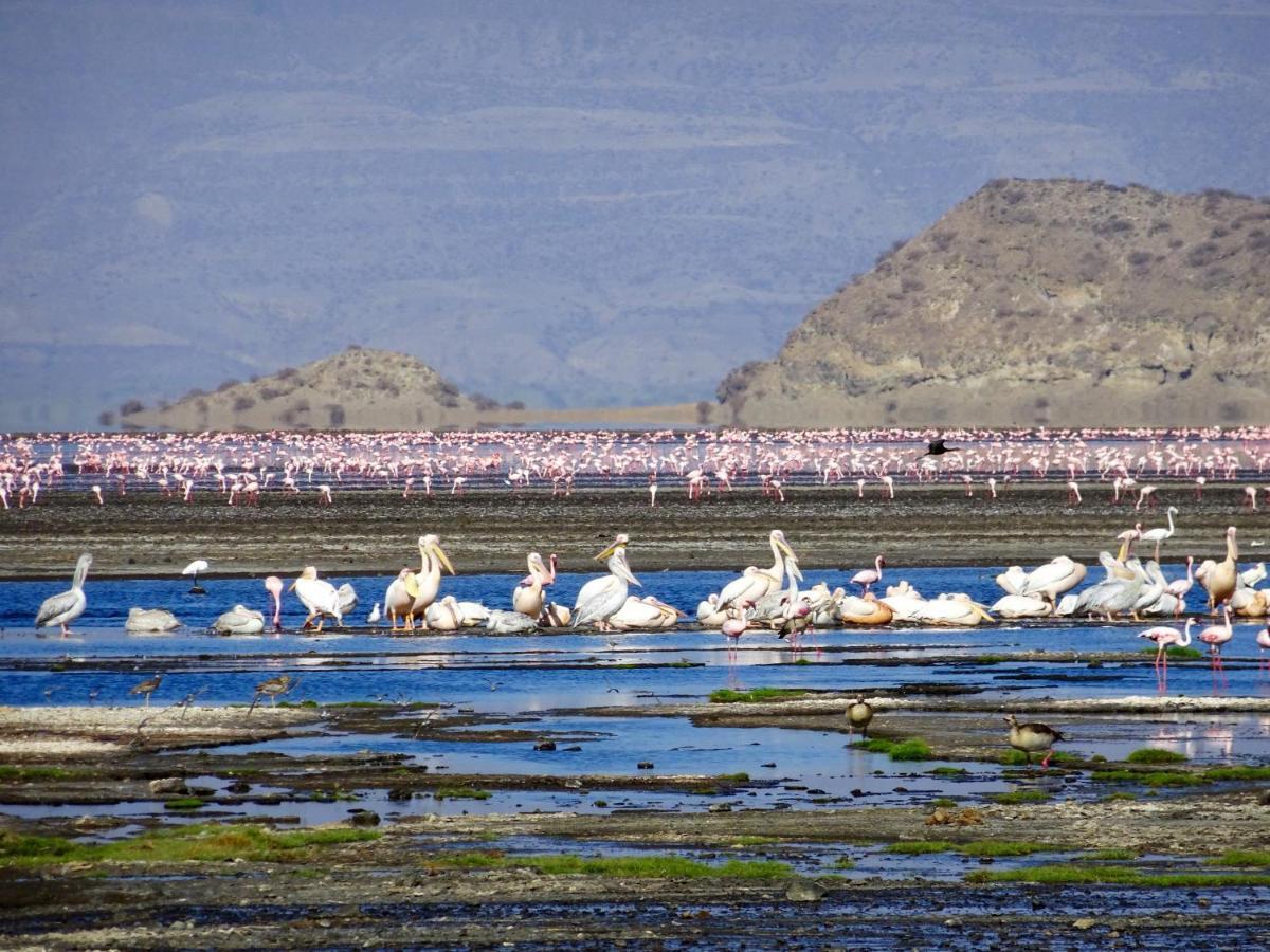 Africa Safari Lake Natron Mtowabaga Exterior foto